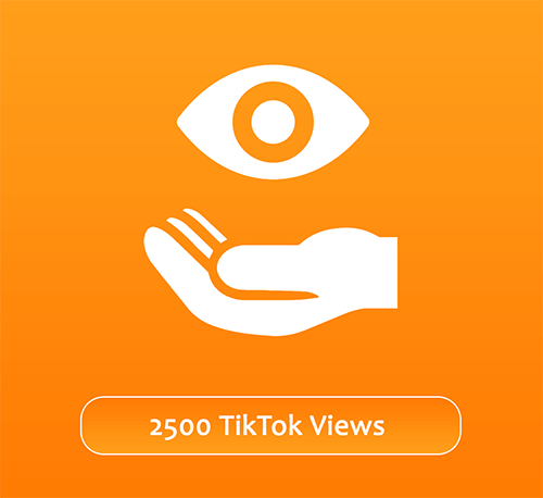 2500 TikTok Views